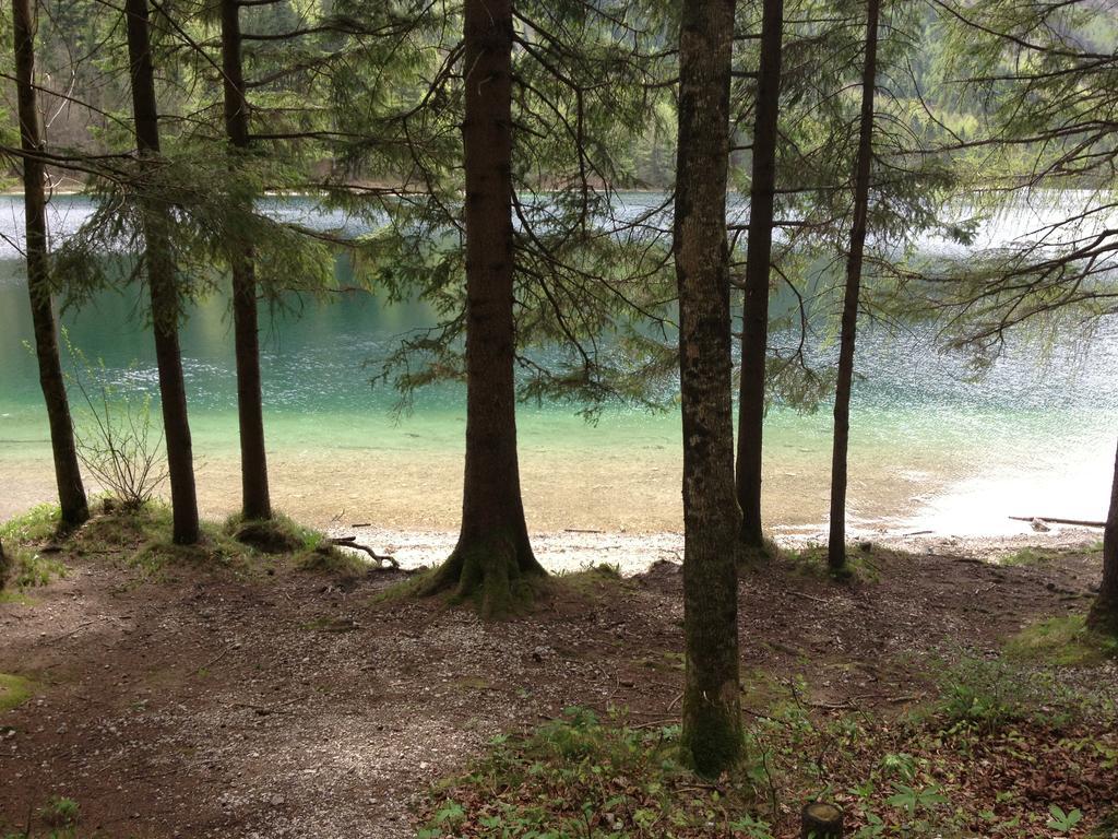 See 31, Ferienlofts Am Traunsee Apartment Traunkirchen Ruang foto